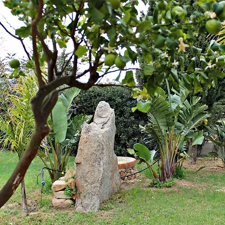 Martina Holiday home Villasimius